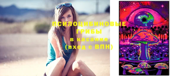 хмурый Янаул