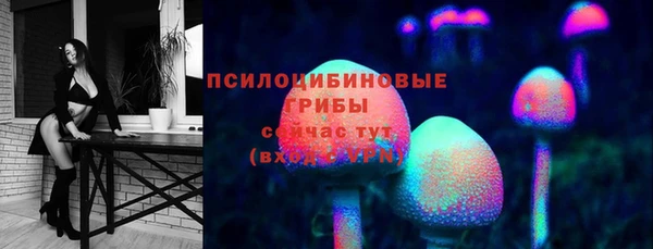 хмурый Янаул