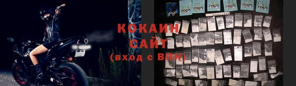 прущие грибы Яровое