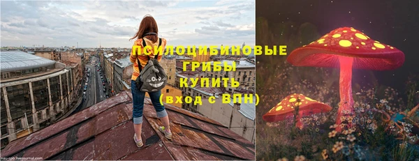 прущие грибы Яровое
